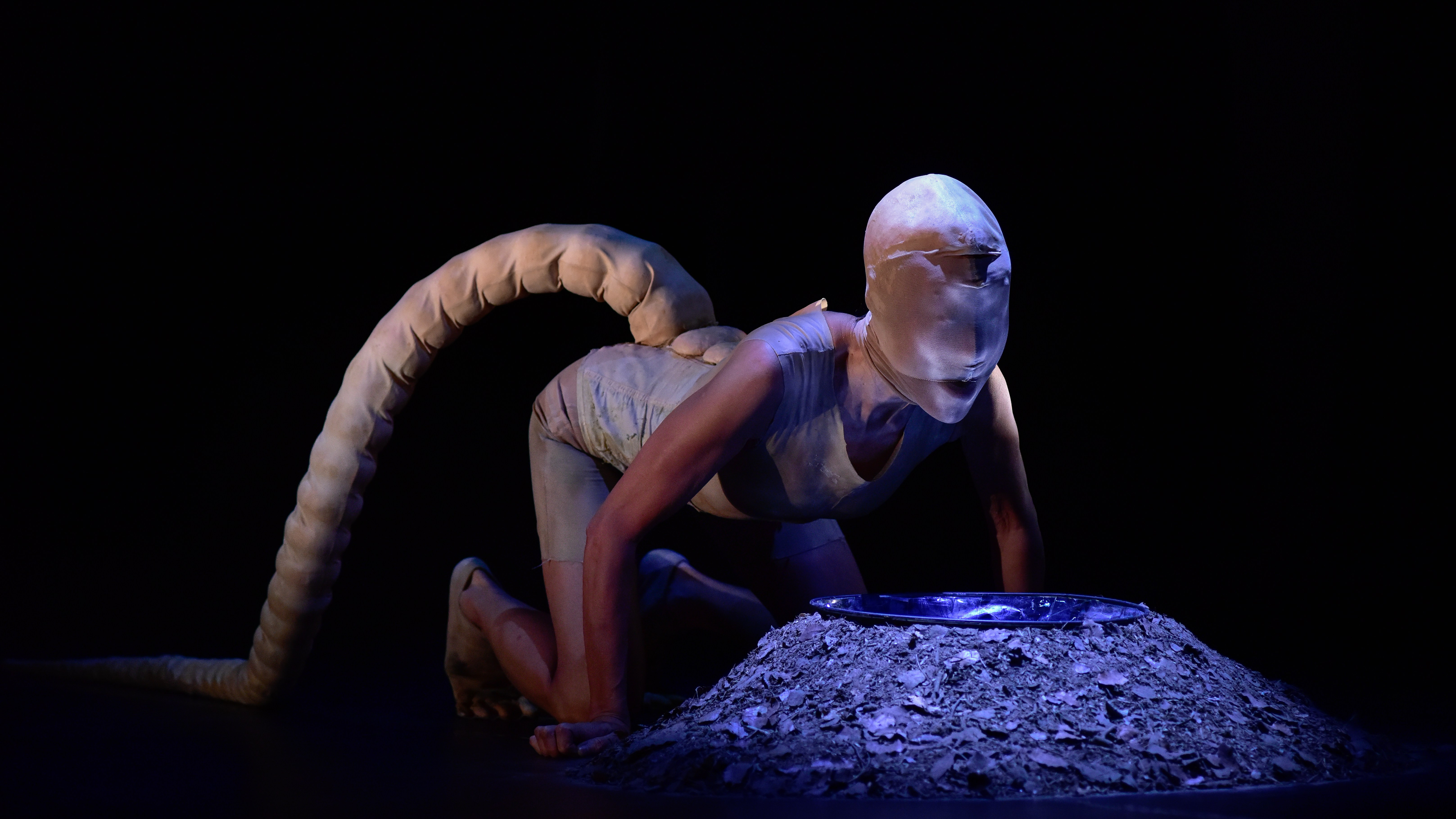 Yumiko Yoshioka 100 Light Years of Solitude