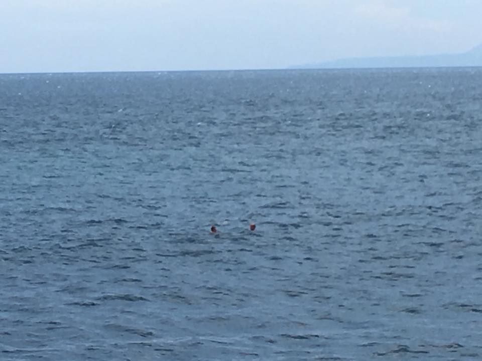 per erez swims&nbsp;in